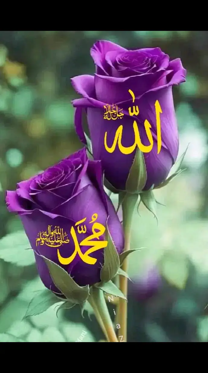 اللہ ❤️اللہ❤️اللہ❤️اللہ❤️اللہ❤️اللہ❤️اللہ❤️اللہ❤️اللہ❤️اللہ❤️اللہ❤️اللہ❤️اللہ❤️اللہ❤️اللہ❤️اللہ❤️اللہ❤️اللہ❤️اللہ❤️اللہ❤️اللہ❤️اللہ❤️اللہ❤️اللہ❤️اللہ❤️اللہ❤️اللہ❤️اللہ❤️اللہ❤️اللہ❤️اللہ❤️اللہ❤️اللہ❤️اللہ❤️اللہ❤️اللہ❤️اللہ❤️اللہ❤️اللہ❤️اللہ❤️اللہ❤️اللہ❤️اللہ❤️اللہ❤️اللہ❤️اللہ❤️اللہ❤️اللہ❤️اللہ❤️اللہ❤️اللہ ❤️اللہ❤️اللہ❤️اللہ❤️اللہ❤️اللہ❤️اللہ❤️اللہ❤️اللہ❤️اللہ❤️اللہ❤️اللہ❤️اللہ❤️اللہ❤️اللہ❤️اللہ❤️اللہ❤️اللہ❤️اللہ❤️اللہ❤️اللہ❤️اللہ❤️اللہ❤️اللہ❤️اللہ❤️اللہ❤️اللہ❤️اللہ❤️اللہ❤️اللہ❤️اللہ❤️اللہ❤️اللہ❤️اللہ❤️اللہ❤️اللہ❤️اللہ❤️اللہ❤️اللہ❤️اللہ❤️اللہ❤️اللہ❤️اللہ❤️اللہ❤️اللہ❤️اللہ❤️اللہ❤️اللہ❤️اللہ❤️اللہ❤️اللہ ❤️اللہ❤️اللہ❤️اللہ❤️اللہ❤️اللہ❤️اللہ❤️اللہ❤️اللہ❤️اللہ❤️اللہ❤️اللہ❤️اللہ❤️اللہ❤️اللہ❤️اللہ❤️اللہ❤️اللہ❤️اللہ❤️اللہ❤️اللہ❤️اللہ❤️اللہ❤️اللہ❤️اللہ❤️اللہ❤️اللہ❤️اللہ❤️اللہ❤️اللہ❤️اللہ❤️اللہ❤️اللہ❤️اللہ❤️اللہ❤️اللہ❤️اللہ❤️اللہ❤️اللہ❤️اللہ❤️اللہ❤️اللہ❤️اللہ❤️اللہ❤️اللہ❤️اللہ❤️اللہ❤️اللہ❤️اللہ❤️اللہ❤️اللہ ❤️اللہ❤️اللہ❤️اللہ❤️اللہ❤️اللہ❤️اللہ❤️اللہ❤️اللہ❤️اللہ❤️اللہ❤️اللہ❤️اللہ❤️اللہ❤️اللہ❤️اللہ❤️اللہ❤️اللہ❤️اللہ❤️اللہ❤️اللہ❤️اللہ❤️اللہ❤️اللہ❤️اللہ❤️اللہ❤️اللہ❤️اللہ❤️اللہ❤️اللہ❤️اللہ❤️اللہ❤️اللہ❤️اللہ❤️اللہ❤️اللہ❤️اللہ❤️اللہ❤️اللہ❤️اللہ❤️اللہ❤️اللہ❤️اللہ❤️اللہ❤️اللہ❤️اللہ❤️اللہ❤️اللہ❤️اللہ❤️اللہ❤️اللہ@Afghanking ❤️