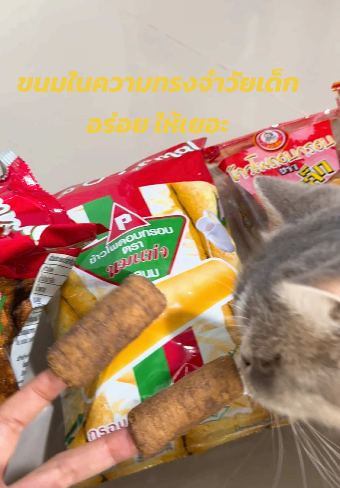 ขนมในความทรงจำวัยเด็ก ตอนนั้นได้ตังแค่วันละ5 บาท เลยซื้อขนมนี้เพราะอร่อย ให้เยอะ ตอนนี้หาซื้อได้ง่ายๆออลไลน์ก็มี #ขนมวัยเด็ก #ขนมโบราณ #ย้อนวัย 