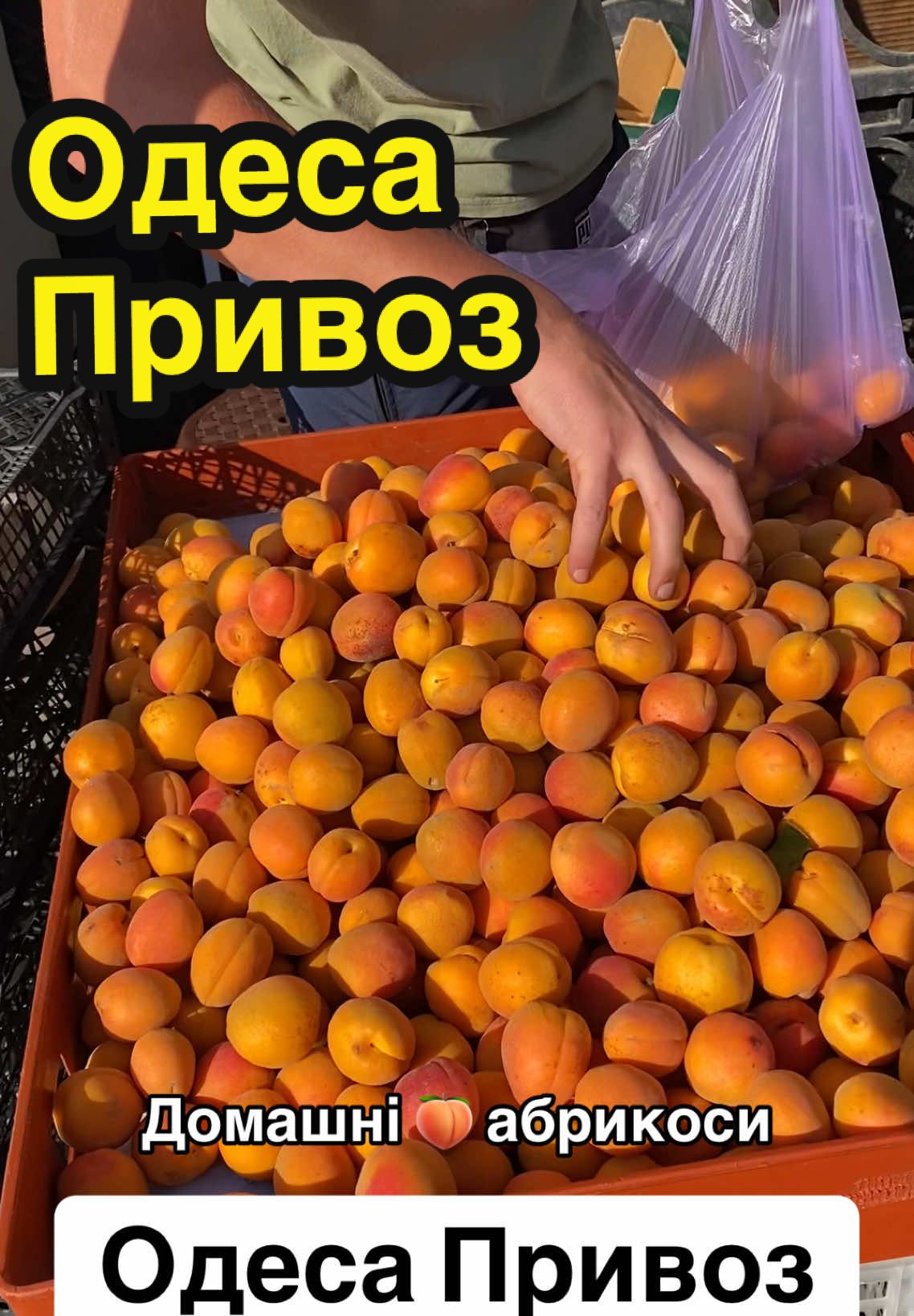 @Артем Привоз 🍇🍑 #привоз #цінивукраїні #фруктиовочі #абрикоса #виноград #хурма 