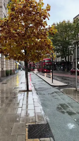 Autumn in London 🎃🍁 #londonautumn #londonaesthetic #mylondonvideos #aestheticlondon 