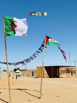 #مخيمات_العزة_و_الكرامة🇪🇭🇪🇭🇪🇭 #شعب_الصيني_ماله_حل😂😂 #اصحراءالغربيه،🇪🇭 #الجزائر🇩🇿 