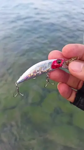 Kingdom Sinking Minnow Wobblers 60mm /7g Far Casting Fishing Lure For Pike/TroutBass Crankbaits Slim Body Hard.  #fishing #fishingrod #fishingreel #fishingtips #lure #lurefishing #bassfishing #fishingtiktoks #fyyyyp #pamingwitph🇵🇭 