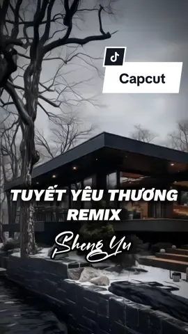 Tuyết Yêu Thương Remix 3 Ảnh cuốn #nhachaymoingay #盛宇shengyu #CapCut #capcutmaster #xuhuong 