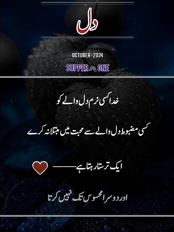 Heart #urdupoetry #foryoupage #1millionaudition 