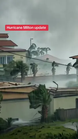 Hurricane Milton update today #hurricane #milton #florida 