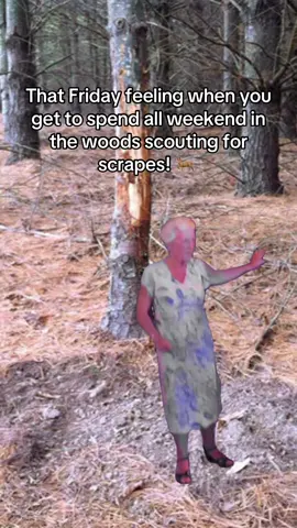 Have you found your hunting spot? #hunting #deer #deerhunting #Outdoors #woods #woodslife #scouting 
