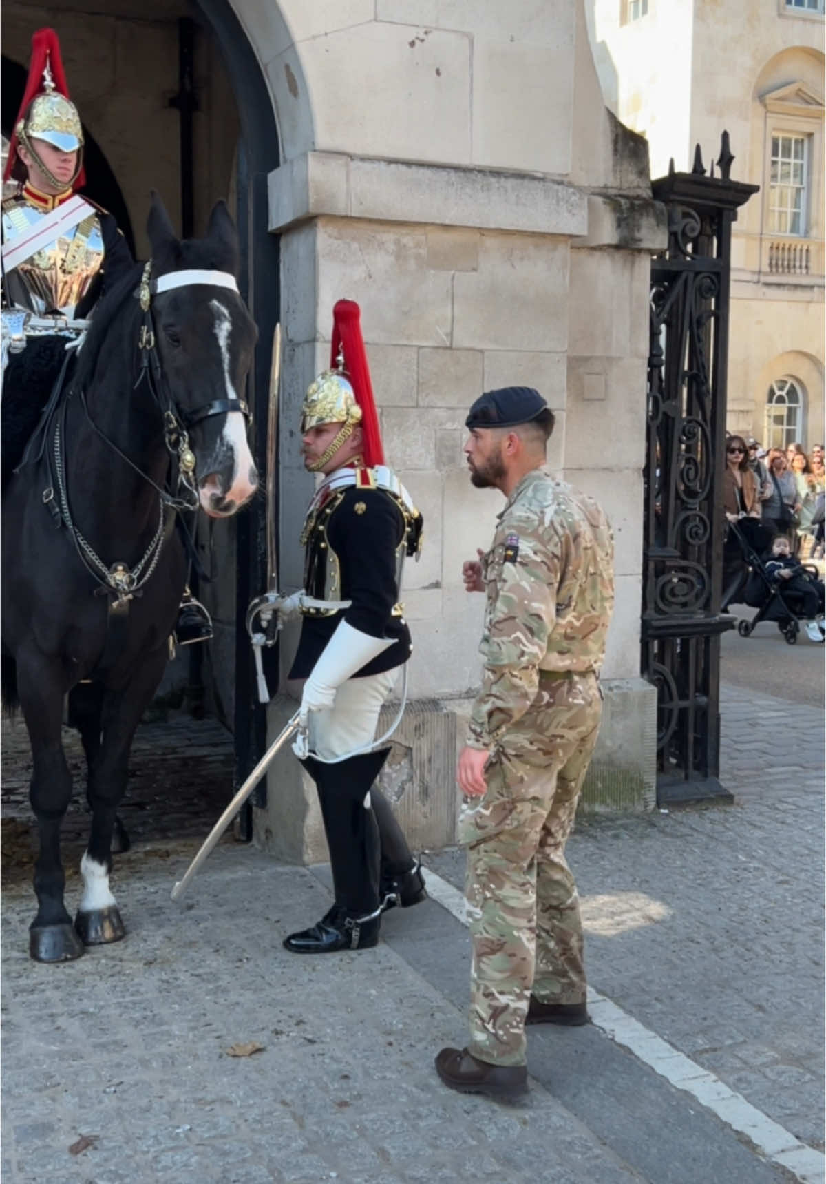 Royal Horse has had Enough  of silly Tourists around . #soldier #kingsguards #military #horseguardsparade #trendingnow 