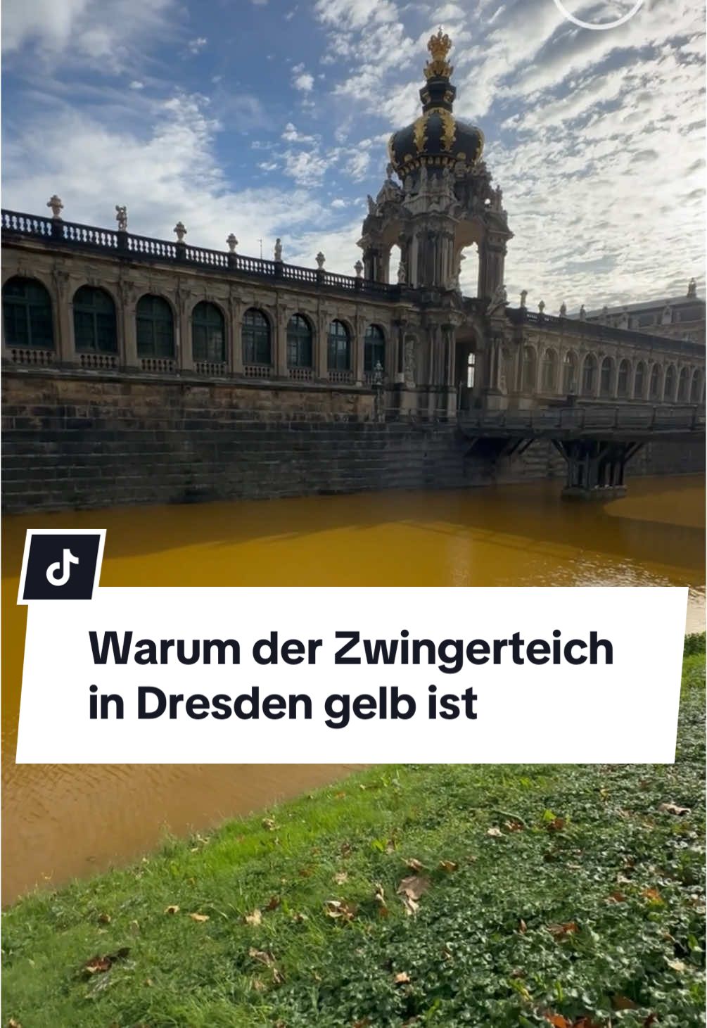 Das Wasser im Zwingerteich ist seit Mitte August stark gelb gefärbt. Die Ursache war lange unklar. Jetzt haben Experten eine Wasserprobe ausgewertet. Mehr erfahrt ihr unter saechsische.de/instagram. Video: Angelina Sortino #Sachsen #Dresden #Zwingerteich #Zwinger #Dresdnerzwinger #Saechsischede #Saechsischezeitung 