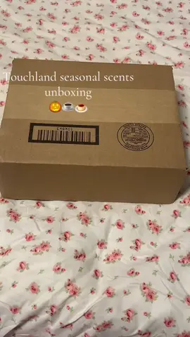 I love my rainwater @touchland so ik these would br amazing  #coquetteaesthetic #coquette #fall #autumn #rorygilmore #gilmoregirls #haul 