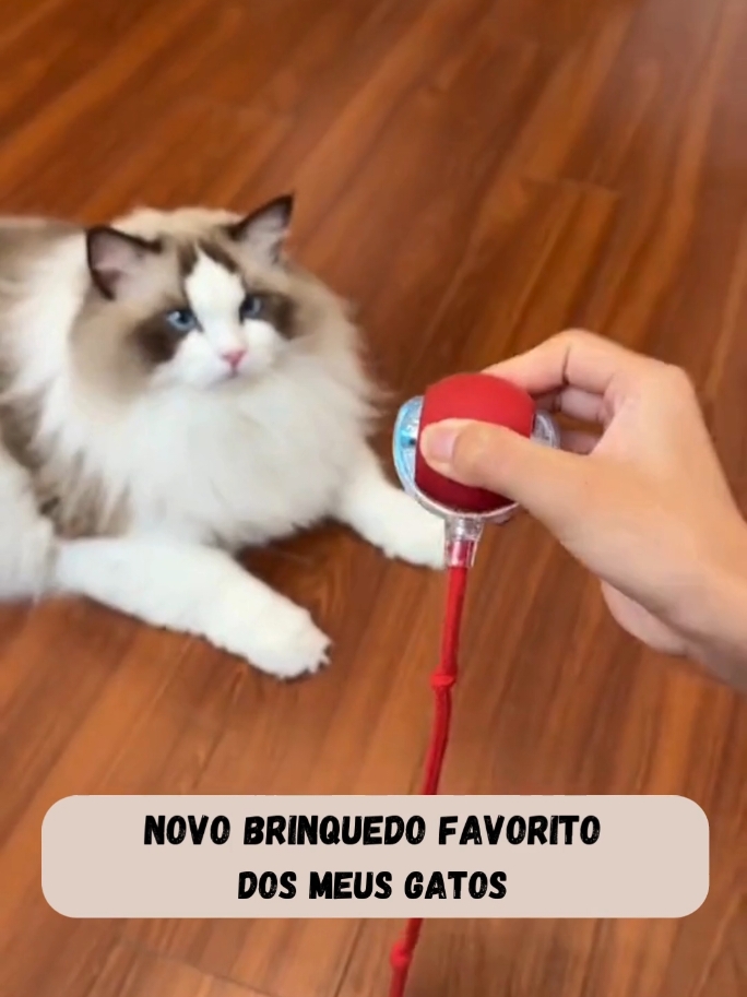 🎉🐾 **Seu gato nunca mais será o mesmo com a Bolinha Interativa Automática Sensor Pet Drive!** 😻✨ Quer transformar a rotina do seu bichano em momentos de pura diversão? Com essa bolinha interativa, seu gatinho vai brincar, se exercitar e se manter ativo por horas! 💪 ⚡ **Movimento Automático:** Estimula os instintos de caça e mantém seu pet mentalmente ativo! 🏃‍♀️ **Exercício Saudável:** Ajuda a queimar energia e evitar a obesidade. 🔋 **Carregamento USB:** Praticidade e diversão garantidas! 💪 **Durável e Seguro:** Feita com materiais de alta qualidade, ideal para o uso diário. 🎁 Dê o presente que seu gato merece e transforme a diversão dele hoje! 🐾💖 #GatoFeliz #BrinquedoInterativo #PetAtivo #SaúdePet #BrinquedoGato #BolinhaAutomática #SensorPetDrive #PetTech #BrincadeiraPet #AlegriaDePatas