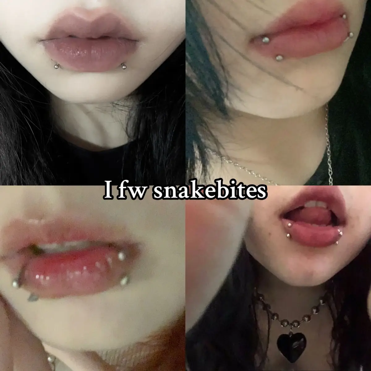 #piercings #piercingtok #snakebites #septum #eyebrowpiercing #bridgepiercing #lippiercing #y2k #emo #metalhead #goth #fyp #forupage #fypシ 