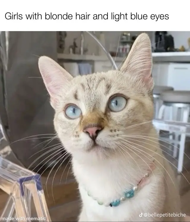 blonde girls with light eyes do it best x