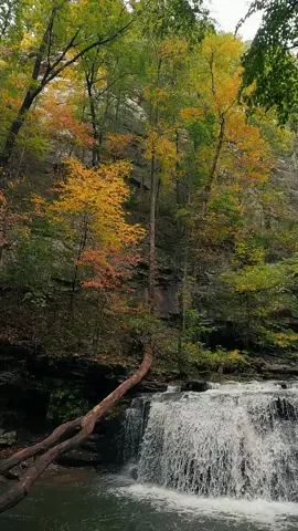 Nature Vibes in Georgia - Cloudland Canyon State Park #waterfall #waterfalls #nature #naturevibes #naturelove #naturelover #naturelovers #calming #positivevibe #peaceful #goodvibes #longwaydown #forest #forestvibes #photography #beauty #fyp #takeawalk #explore #trail #Hiking #hike #Outdoors #trails #lovetrails #positivevibes #natureisbeautiful #meditation #aestheticnature #timepass #lostworld #meditate #trailspinexplorer