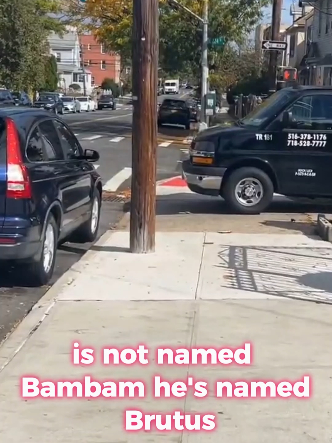 #funnyy #longervideos #jokes #prankphone #prank #prankcall 