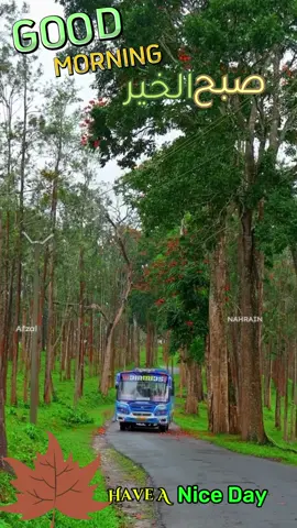 🍁കരിഞ്ഞ ചെടിയുടെ ചുവട്ടിൽ  🍁വെള്ളമൊഴിക്കുന്നപോലെയാണ് ചിലരെ നമ്മൾ സ്നേഹിക്കുന്നത്🍁എത്ര സ്നേഹിച്ചാലും എങ്ങനെയൊക്കെ അത് പ്രകടിപ്പിച്ചാലും 🍁അവർക്കത് അനുഭവിക്കാൻ കഴിയില്ല...  🍁കാരണം അവരത് നമ്മളിൽ നിന്നും ആഗ്രഹിക്കുന്നില്ല🍁എങ്കിലും നമ്മൾ സ്നേഹിച്ചുകൊണ്ടേയിരിക്കും... 🍁ഇന്നല്ലെങ്കിൽ നാളെ ആ ചെടിയിൽ  🍁വിരിയുന്ന പൂവിൻ്റെ സുഗന്ധത്തിനായി...  🍁ആ മനുഷ്യരുടെ സ്നേഹത്തിനായി...!! ശുഭദിനം🌹🌹🌹#goodmorning #morningvibes #അരികിൽ_നീ_ഉണ്ടായിരുന്നേൽ #foryoupage_tik_tok #haveaniceday #صباح_الخير #വിരഹം #sad #പ്രണയംനിന്നോട്മാത്രം🕊️🕊️ #tik_tok 