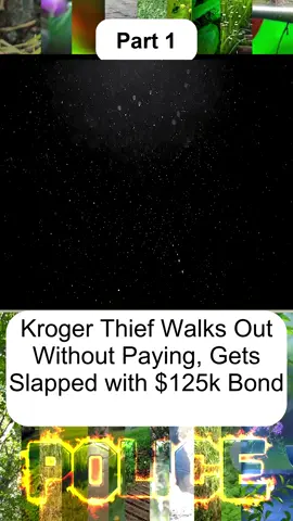 Kroger Thief Walks Out Without Paying, Gets Slapped with $125k Bond - Part 1