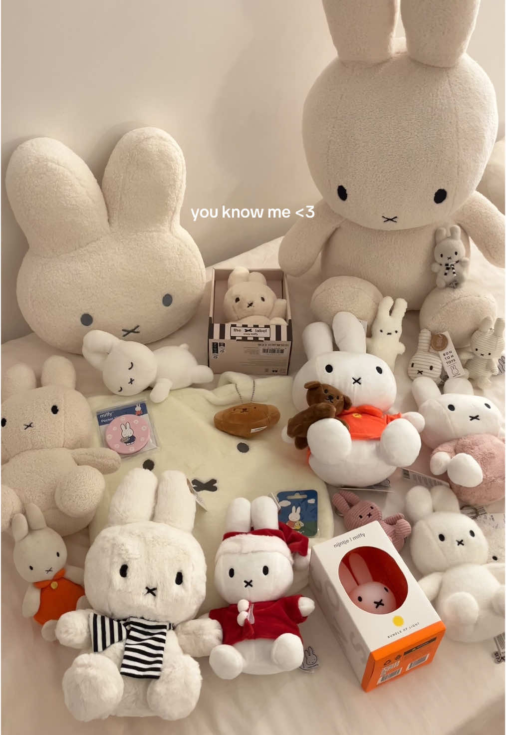 im just a girl 🤍 #miffy #nijntje #miffyandfriends #miffycollection #miffygirl #miffy好きと繋がりたい 