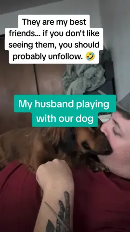 My dogs and the husband are my besties, so I'm going to post about them from time to time. 😁 #wifelife #husbandsoftiktok #dachshund