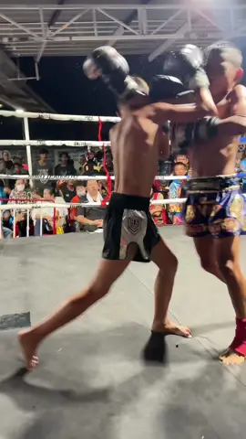 Epic Knockout: Elbow Followed by Powerful Front Kick!🔥 #muaythai #thaiboxing #kidfighter #champ #epicknockout #ethanbrasselet