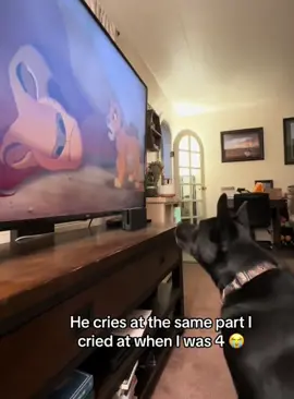 Dogs watching TV#funnydog #foryou 