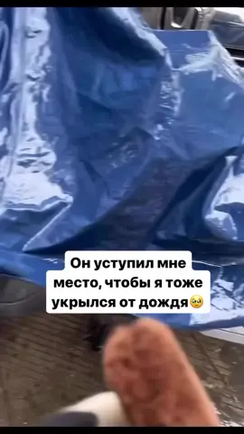 Какой сладкий🥹💗