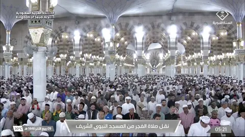 صلاة الفجر للشيخ أحمد بن طالب 9 ربيع الآخر 1446هـ
