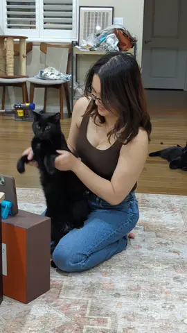 behind the scenes #cat #dance 
