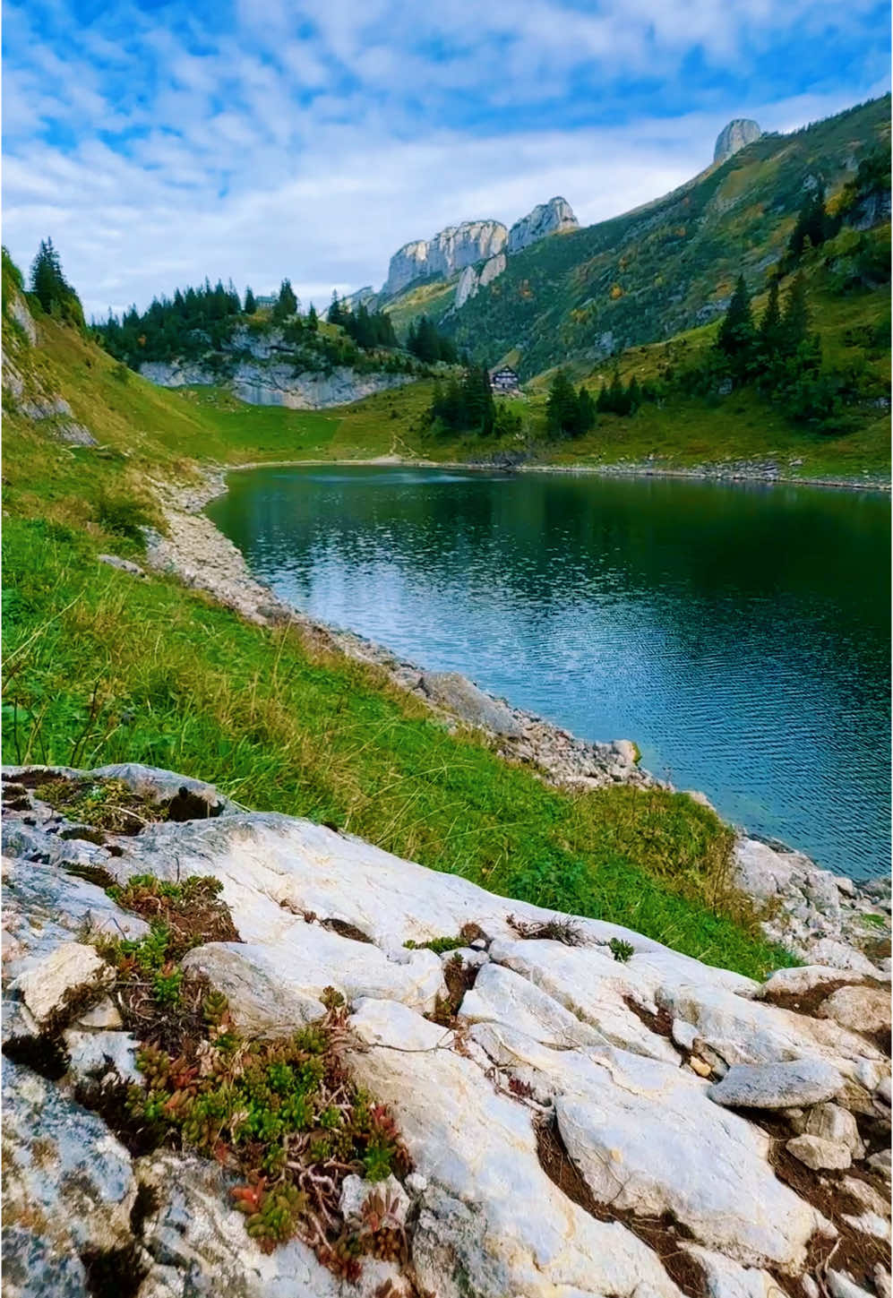 This is absolutely beautiful #swiss #Hiking #nature #mountain #lanscape 