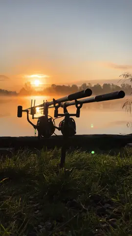 Kolejna zasiadka na Lipiu🐟 #karp #carp #wedkarstwo #ŁowienieRyb #fishing #Rybomania #ZłówIWypuść 