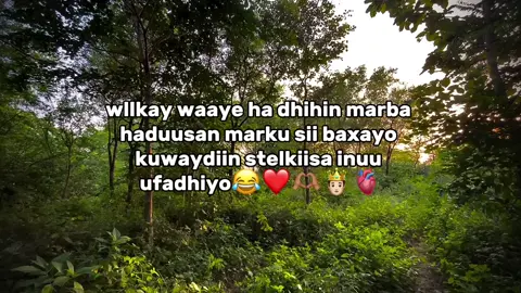 no beeen💔😂#somalitiktok #viewsxumo #viral tiktok #somaliland #mazeerleyy😭❤️ #viraltiktok #queen👸🖤✌️ #cudoneyyy😩🖇👑 #dhirigalizoh🥰✍️ #mzzhilmaam🧕🏼🦋😏👋🏻 #viewsxumo💔😭 #dahabo_cudoon #🤴🤝👸 #foryoupage #foryoupage 
