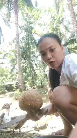 kaon ta ninyu dzai bisan hapon na dzai #marycil #marycil_32 #probinsyalife #coconutgirl #fyp 