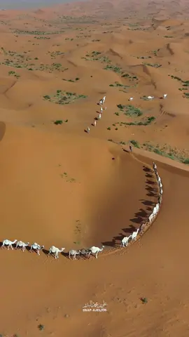 #اكسبلورexplore #السعودية #saudiarabia #تصويري #tiktok ##الزلفي #جادة_الابل  جادة الابل ( الزلفي )