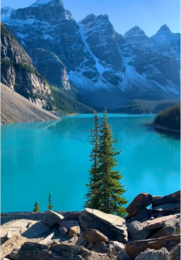 @LOST WITH SARAH 🌍 takes us to the breathtaking Moraine Lake, known for its crazy blue waters and epic views that are straight out of a postcard! 🏞️💙 Ready for an adventure? Find your travel style with our quiz! Link in bio 💡Did you know that this stunning lake gets its unreal turquoise color from glacial rock flour that reflects light? 🌊✨ It's no wonder it's one of the most photographed spots in Canada! 📸🗺️ 📍Moraine Lake, Banff National Park, Alberta, Canada 🎥: @lostwithsarahtravel  Credits to respective owners. DM for removal  #travel #travelling #MoraineLake #TravelInspiration #CanadaTravel #LakeViews #Wanderlust #NatureLovers #BucketListTravel #ScenicViews #TravelGoals #ExploreCanada #LakeLife #BlueWaters #canada #alberta #banff