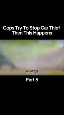 Cops Try To Stop Car Thief Then This Happens 5