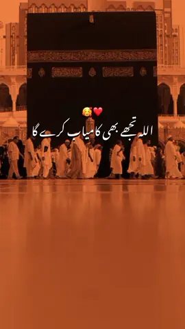 INSHA ALLAH❤️🥰🕋🌎#foryoupageofficiall #statusvideo #viraltiktok #whatsappstatus #islamic_video #malaika_typist28 #pleasegoviral 