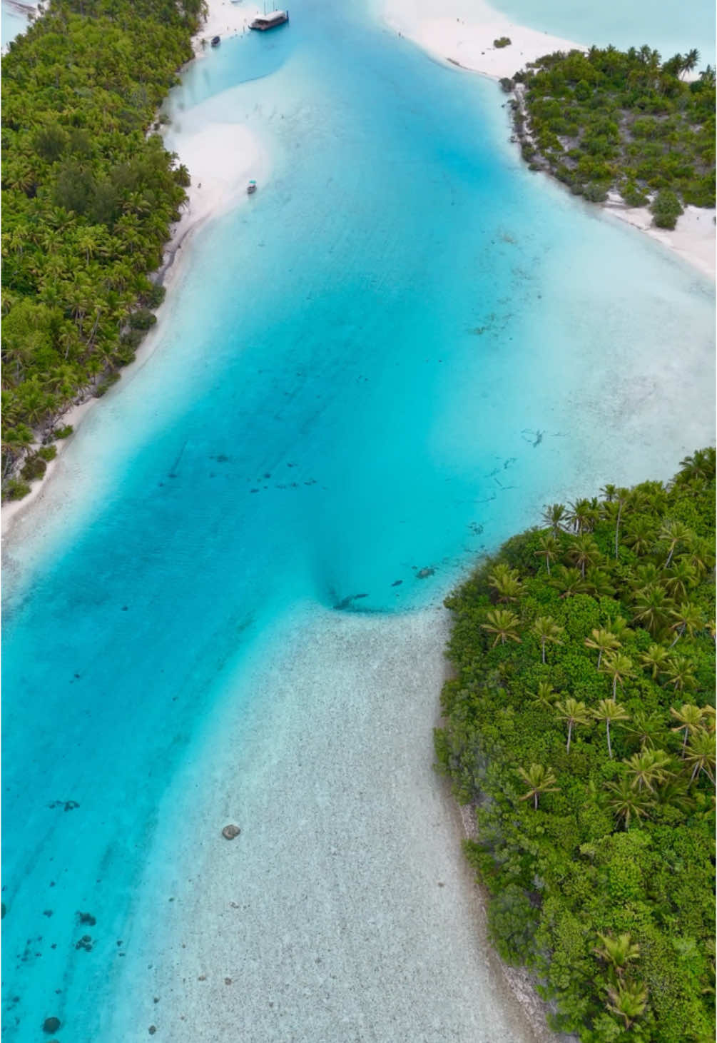 🏝️ one foot island 😍💙🇨🇰 #cookislands #aitutaki #onefootisland #beach #beautifuldestinations #plagevacances #dream #bucketlisttravel #partirloin #landscape #calm #tropical #frypgシ #drone 