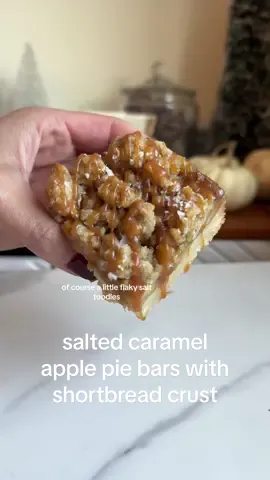 Salted caramel apple crumble bars! Technically, is this an apple crumble or an apple crisp? Let me know. Also, im thinking this may be the last apple recipe for a minute, have we had enough apple? #appledessert #applecrisp #applecrumble #saltedcaramel #applepie #applepiebars 