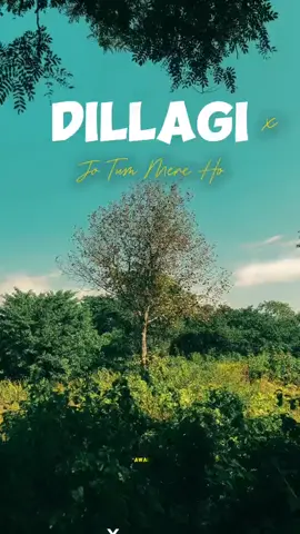 Dillagi 💖x Jo Tum😩# Mere Hu  ## for you Grow up 🫰 viral video plz tiktok team 