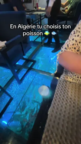 #restaurant #poisson #lentracte #algerie #algerienne #draria #labouffe #yamyam #🤣#delecieux #humourfrancais #humour #drole #aquarium #solenverre #chic #fish 