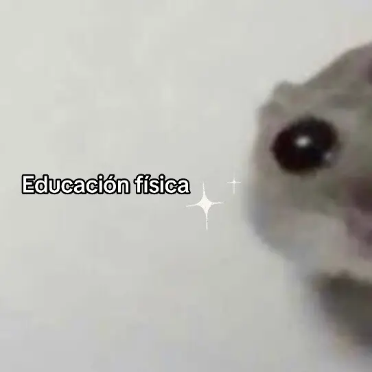 Ya se que se me da mal, pero si me dicen eso se me va a dar peor la educación física 😭 #educacionfisica #hamster #triste #xyzcba #fyp 