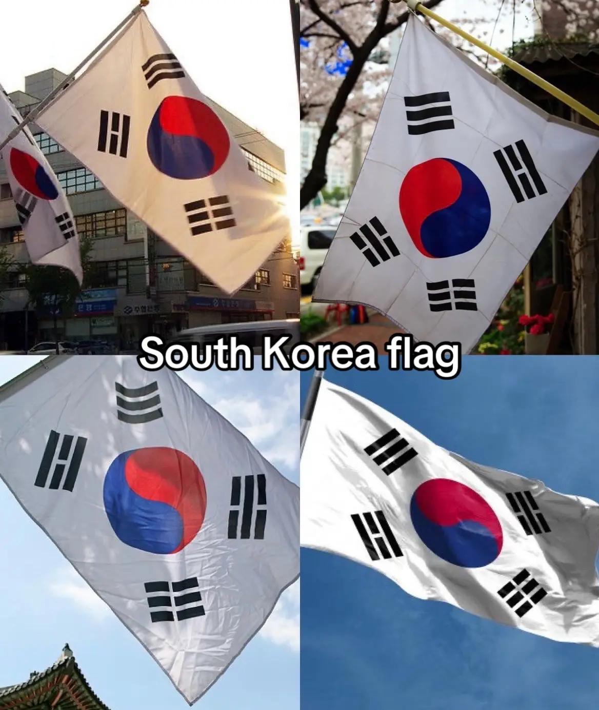 #korea #southkorea #🇰🇷 #koreafacts #country #fypage #fypツ #fypシ゚ 