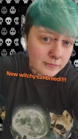#greenscreen NEW CAT BREED DROPPED?!?! AHHHHHHHHHH #cats #cattok #meowtok #witchy #halloween 