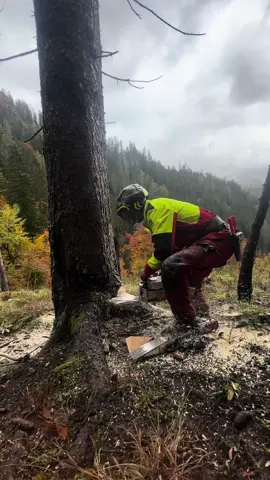 #fyp #forest #mountains #holzfäller #austria #forstwirtschaft #motivation #forestry #support #viral_video #logging #video #logger #i #Love #my #job 