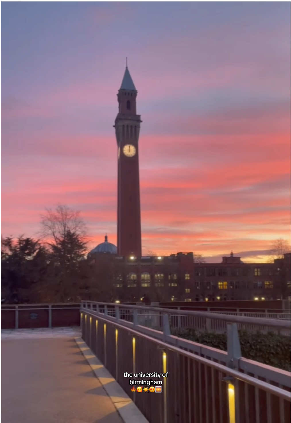 the BEST campus ever #uob #unibirmingham #birmingham #uni #university #student #fyp #foryou #brum 