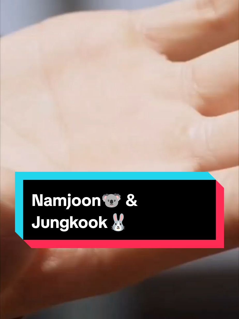 Jungkook🐰& Namjoon🐨 OT7 amo 🥰 que sean tan complices 🥹 #namjoon #jungkook #namkook #bts #btsarmy #bts_official_bighit #bangtansonyeondan방탄소년단 #bangtan #lilian_nam 