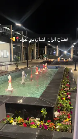 من الرياض إلي تبوك الذ شاي🫠🤍@الوان الشاي كركدية مع اللافندر شي ماحصصل💯.  #تغطيات تبوك#تبوك_الآن 