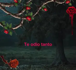 #florecitadreams 