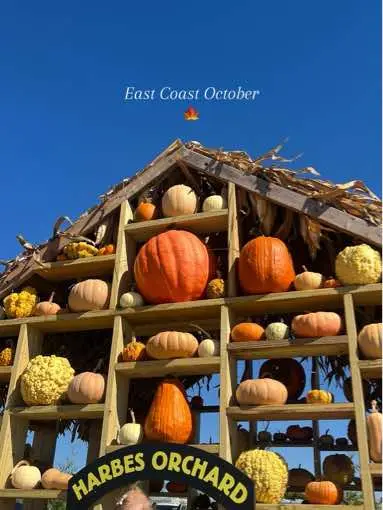 🧡🎃🔸✴️🟧🔶 #newengland #newenglandtiktok #newenglandinfluencer #pinterestaesthetic #pinterestoutfit #pinterestinspo #eastcoast #eastcoastfall #eastcoastlifestyle #applepicking #applepickingseason 