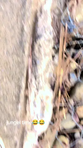 laijauna timi molai tada tada♥️♥️♥️