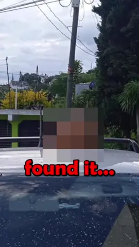 A Mayor in Mexico got d*capitated?!…😨👮🏻‍♂️🇮🇹 #podcast #story #crime #mexico #mystery 